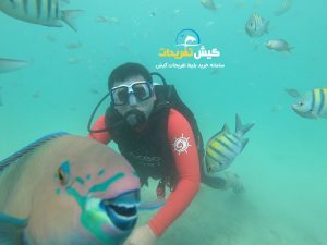 غواصی VIP در کیش