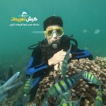 غواصی VIP کیش