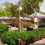 هتل فانوس کیش نمای بیرونی